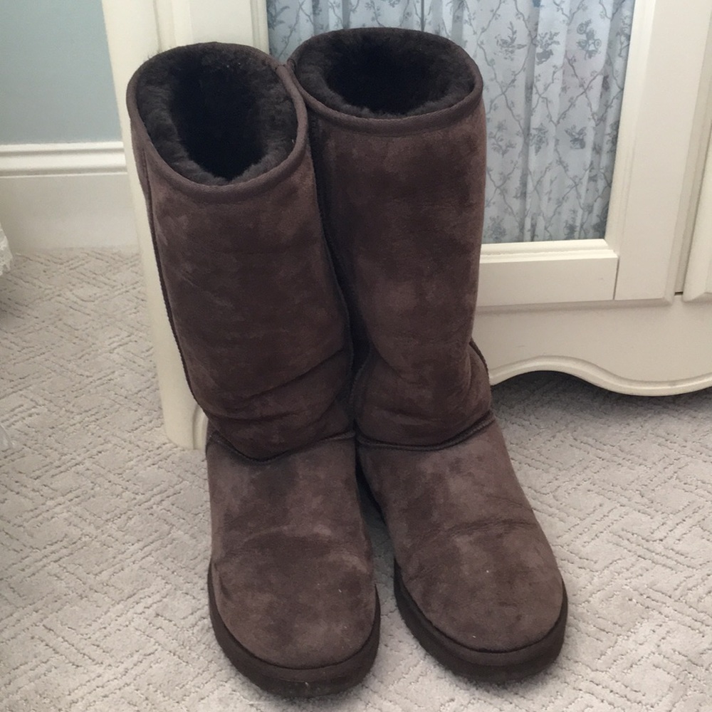 Authentic UGGs with Sheepskin Cate Kit